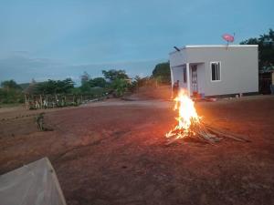 Makucha Ya Simba Homestay and camping grounds in mwanza