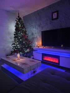 Luxury BROthers Apartment