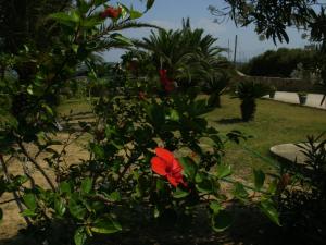 Charly Point Villa Messinia Greece