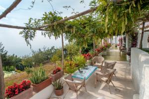 Talu La Casa dell'Ulivo Ischia Itaalia