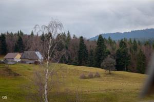 Casa Aproape de Stele din Beliș, Apuseni