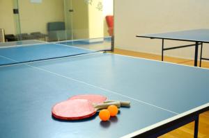 Tateyama Resort Hotel