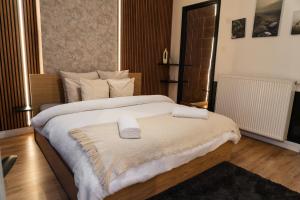 Spacious & Stylish 3 adjacent Bedrooms Stay in Central Ghent