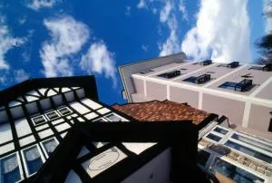 Madarao Lainstons - Madarao Kogen