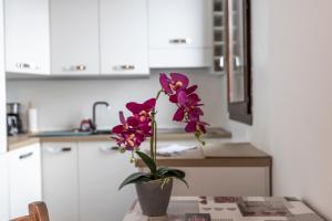 Oasi In the City Center Chamonix