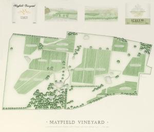 Mayfield Vineyard