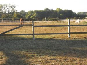 B&B / Chambres d'hotes Ferme les Rousseaux : photos des chambres