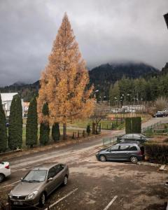 Caraiman View Suite, Zona Silva