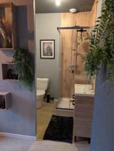 Duplex Le Glamour proche hyper centre