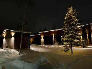 Villa Memory-Aurora view bath-Sauna-Lapland-Santa