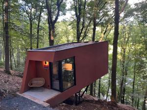 Séneçon des bois 08