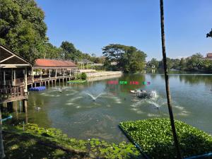 Relax greenery near town 15 min