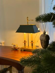 Old Galicia, Kopernika