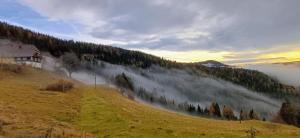 Ferienhaus Almhorizont beim Oberen Kreuzer