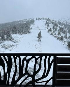 Vila Golija Sky View Kopaonik