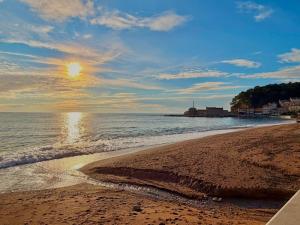 Beachfront Apartments Oaza 1