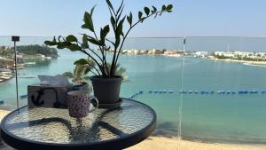 درة العروس فان بيتش الخاصه