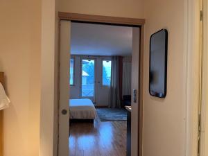 Chamonix cœur de ville - Aiguille du midi