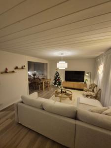 Cozy Home at Rovaniemi