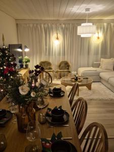 Cozy Home at Rovaniemi