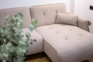 AtheNeon Deluxe Suite