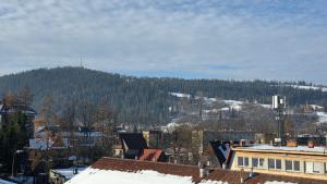 336 - Apartament Zakopiański - Jacuzzi & Sauna & Siłownia & Plac Zabaw