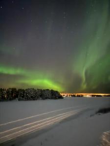 Northern Lights River Nest