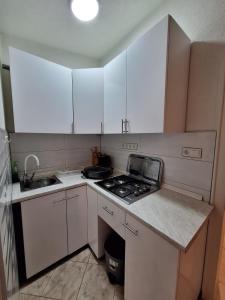 Apartement Irena Vir