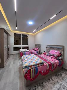 cozy flat in New Administrative Capital near European universities