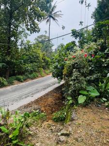 rivers edge homestay