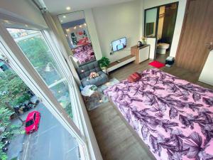 AMAYZING SKY View TG