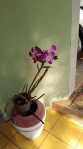 ADLi