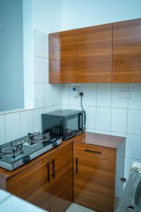 The Modern Nest - Alexa, Wi-Fi