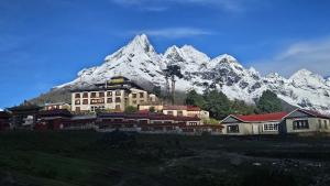 The Himalayan Tyangboche