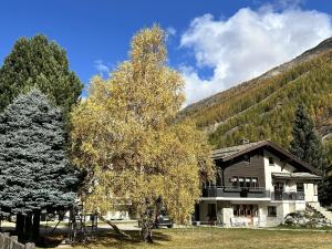 Apartment Sunstar by Interhome