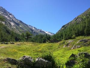 Apartment Sunstar by Interhome