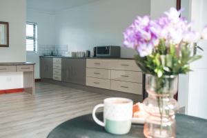 Crayfish at Hermanus Reefs