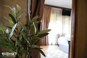 Olive & Ivy Cherry Grove 7