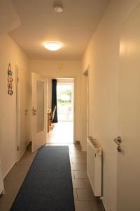 Haus Figaro mit Hund