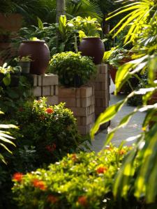 Garden, Safari Beach Hotel in Phuket