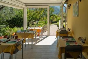 Agriturismo La Collina Verde