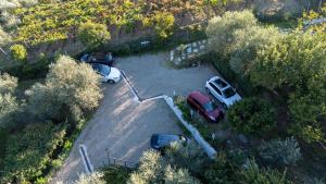 Agriturismo La Collina Verde