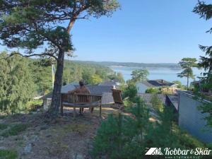 Cottage near the beach with guesthouse SE09165