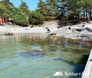 Cottage near the beach with guesthouse SE09165