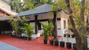 Palm Beach Resort, Alleppey