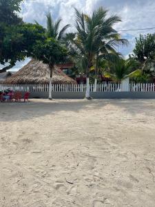 Las Margaritas Frente al Mar 2