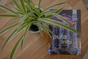 Comfy studio apartment for two