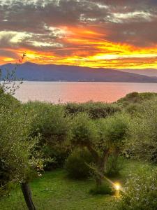 Terrazza sull Argentario