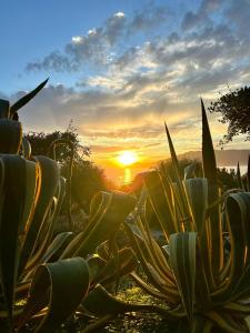 Terrazza sull Argentario
