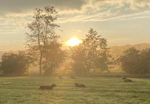 Landgoedboerderij Oosterheerdt